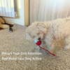 Petspany™ Smart Tail Rolling Ball – Interactive Pet Toy