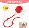 Petspany™ Smart Tail Rolling Ball – Interactive Pet Toy